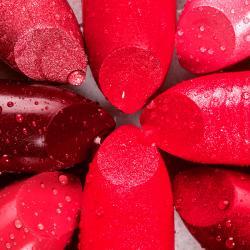 Nesciunt facere dolores sint est.