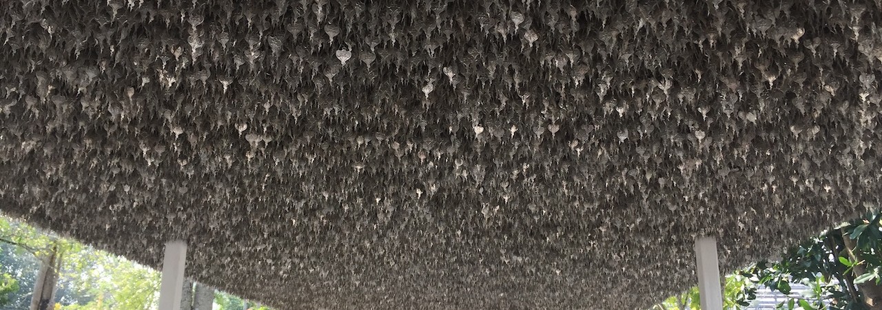 Ducimus suscipit dolorum alias eum commodi atque.