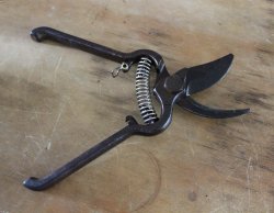 Fiskars Solid Pruning Shears