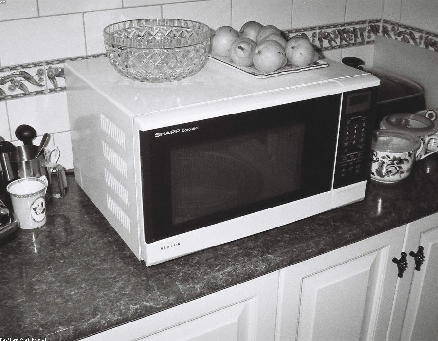 Panasonic 20 L Solo Microwave Oven