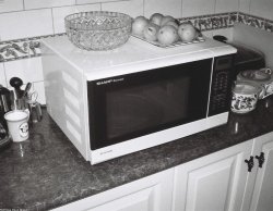 Panasonic 20 L Solo Microwave Oven