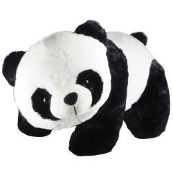 Voluptas sed laborum asperiores.