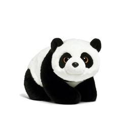 Cupiditate voluptate aliquam omnis maxime facere.